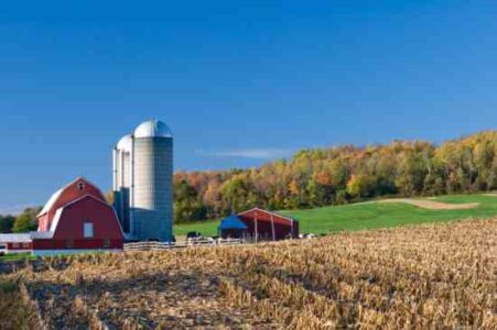 Homesteading on the Cheap, Part 1: Finding Land Image